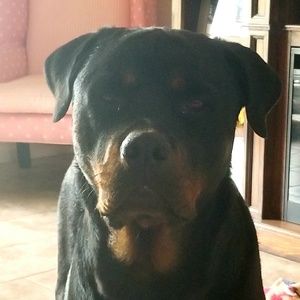 Meet your Posher, Kimberly